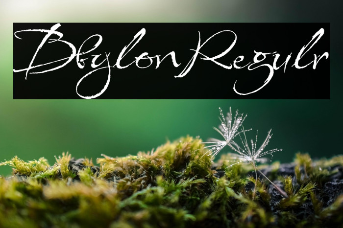 Babylonica Regular Example 1