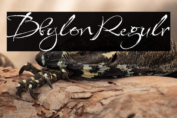 Babylonica Regular Example 2