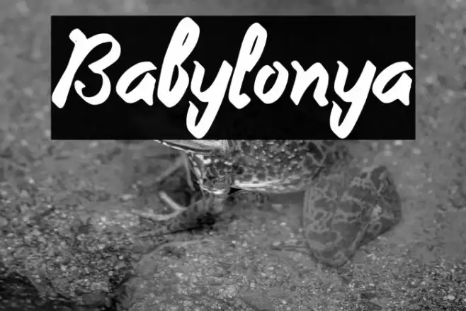 Babylonya Font examples