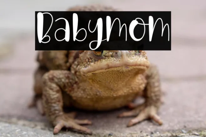 Babymom Example 1