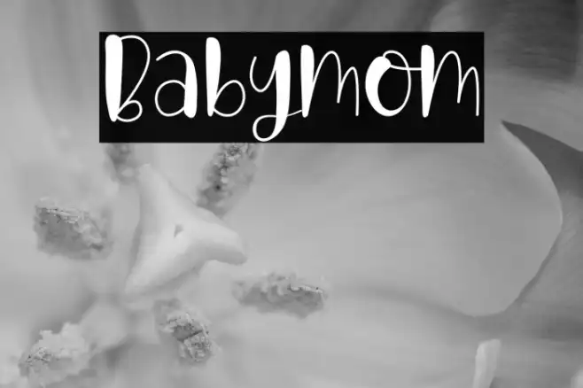 Babymom Example 2
