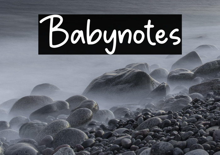 Babynotes Example 1