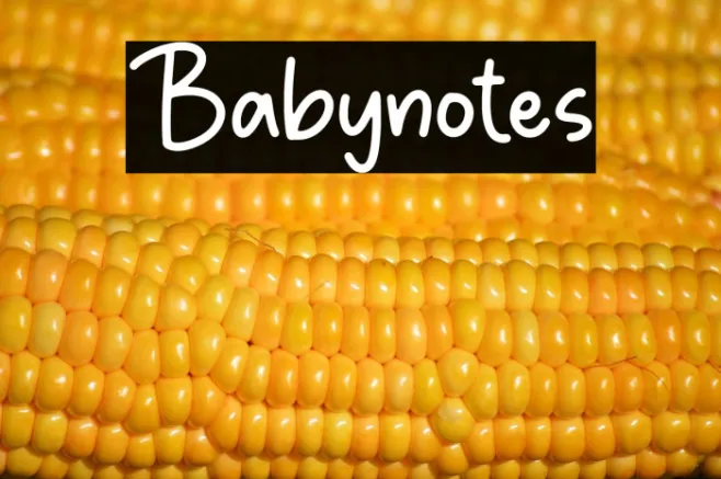 Babynotes Example 3