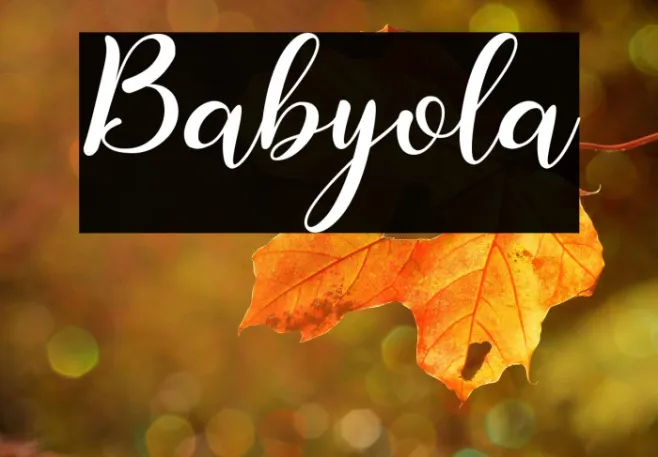 Babyola Example 2