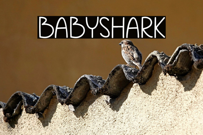Babyshark Example 1
