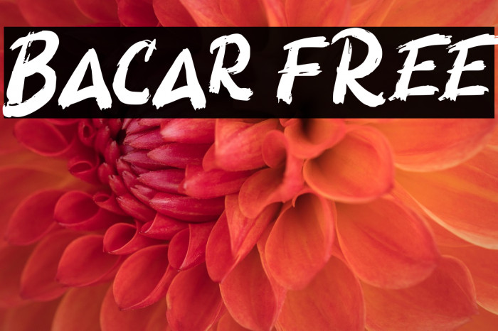 Bacar FREE Example 1