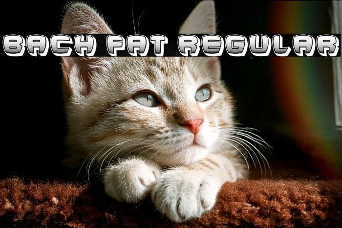 Bach Fat Regular Example 1