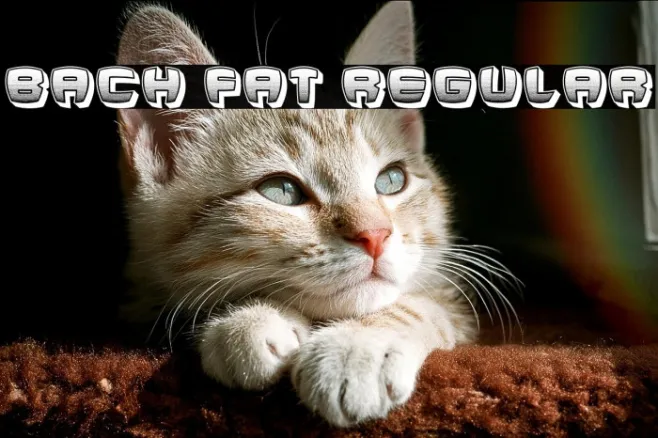 Bach Fat Regular Example 1