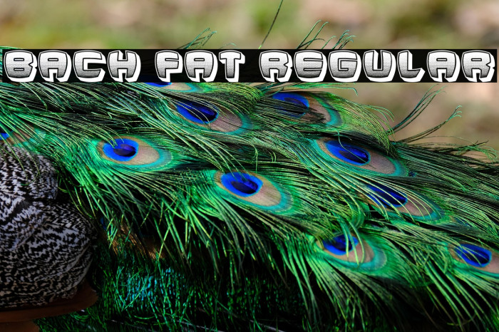 Bach Fat Regular Example 2