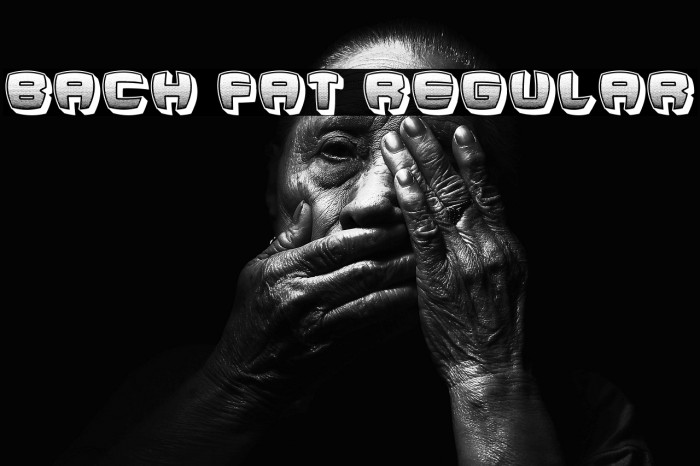 Bach Fat Regular Example 3