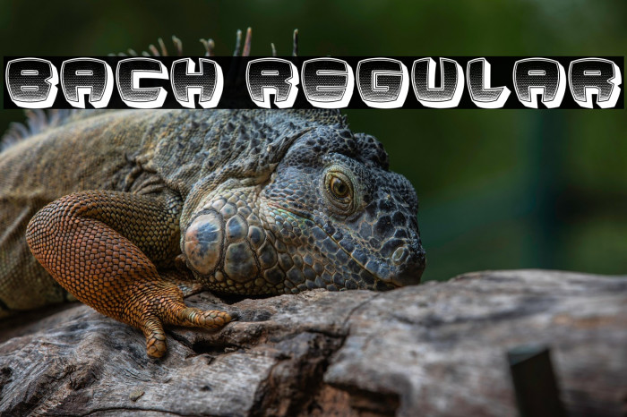 Bach Regular Example 1