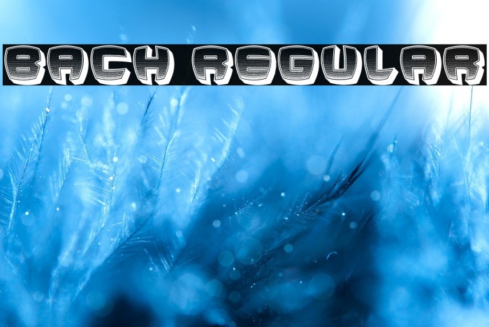 Bach Regular Example 2