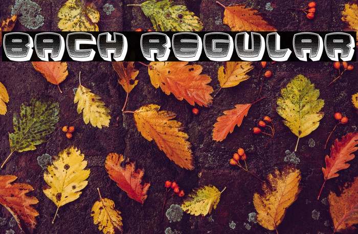 Bach Regular Example 3