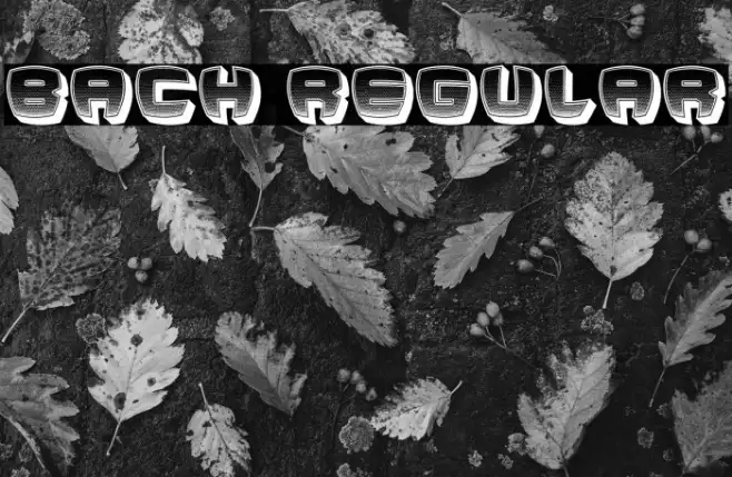 Bach Regular Example 3
