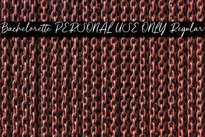 Bachelorette PERSONAL USE ONLY Regular Example 1