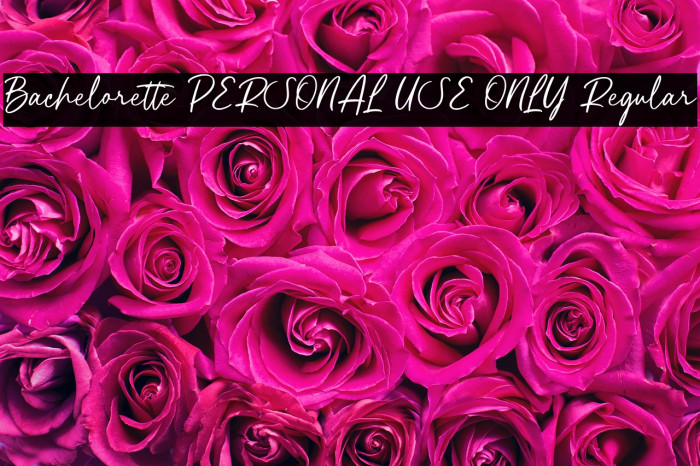 Bachelorette PERSONAL USE ONLY Regular Example 2