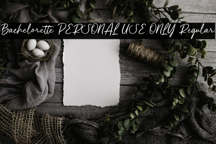 Bachelorette PERSONAL USE ONLY Regular Example 3