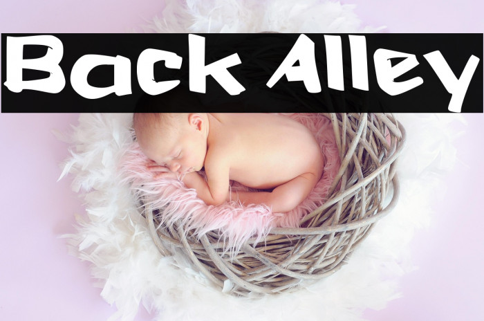 Back Alley Example 2