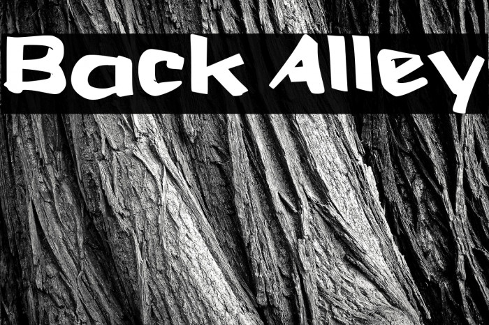 Back Alley Example 3