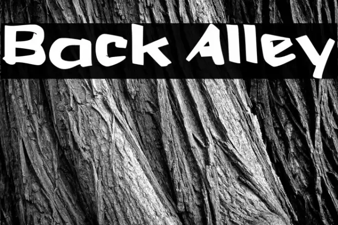Back Alley Font examples