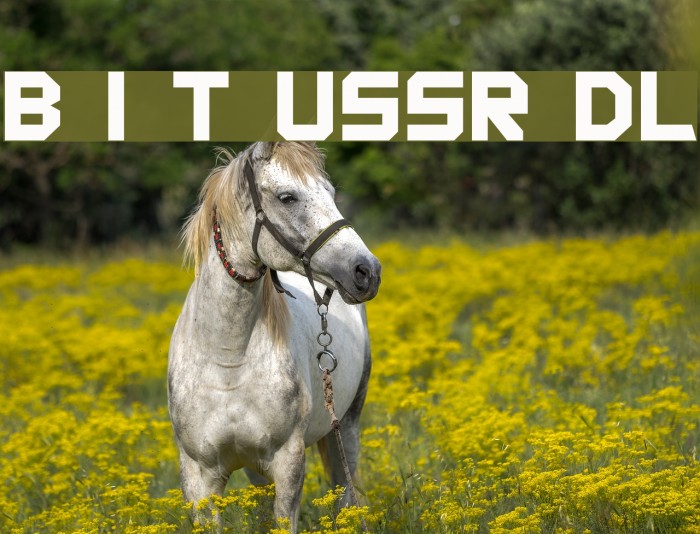 Back In The USSR DL Font examples