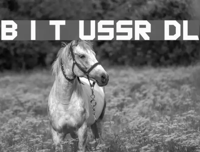 Back In The USSR DL Example 2