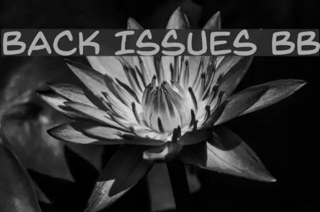 Back Issues BB Font examples