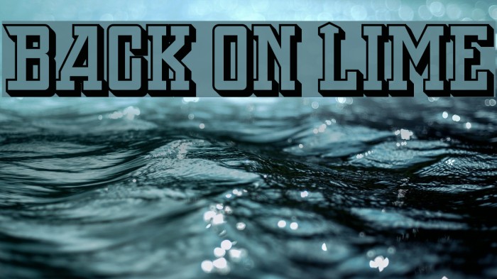 Back On Lime Font examples