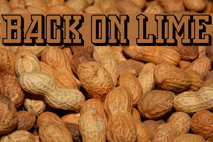 Back On Lime Font examples