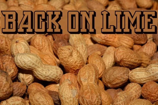 Back On Lime Example 3
