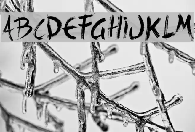 Back Ride 342 Font examples