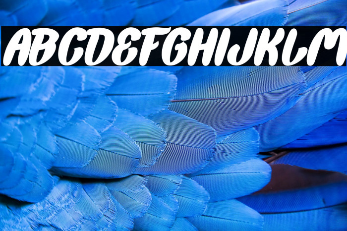 Back To Nature Bold Italic Example 1