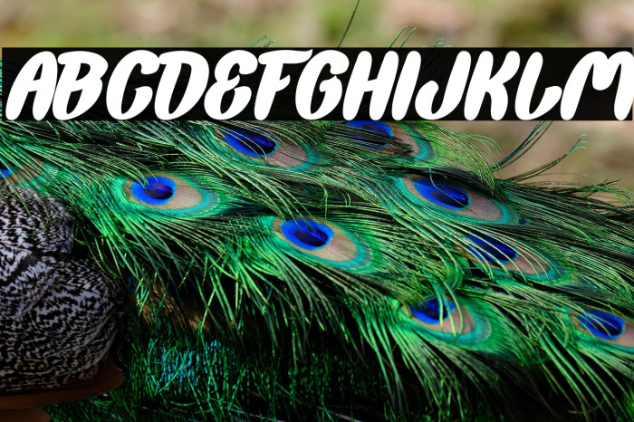 Back To Nature Bold Italic Example 2