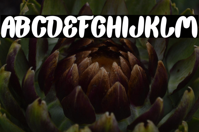 Back To Nature Bold Example 1