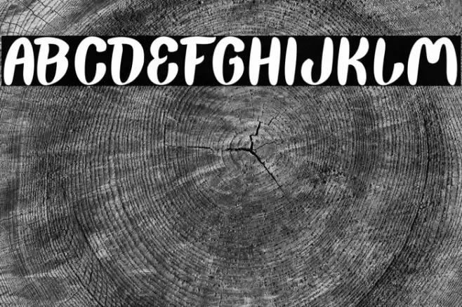 Back To Nature-Light Font examples