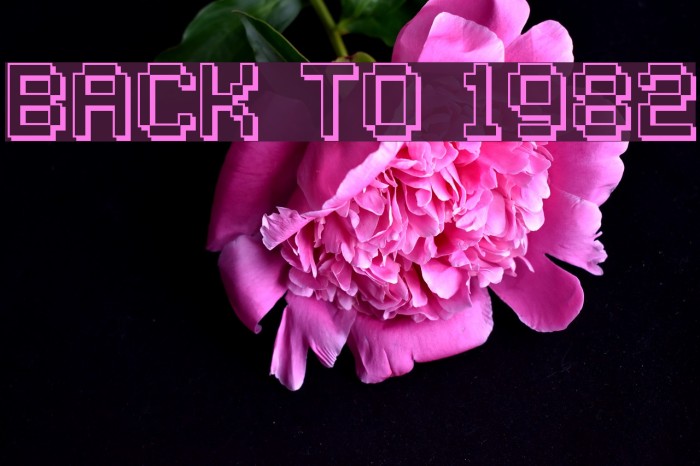 Back to 1982 Font examples