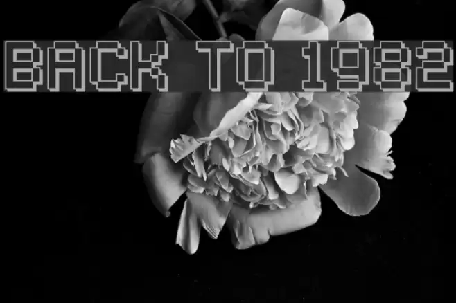 Back to 1982 Schriftart examples