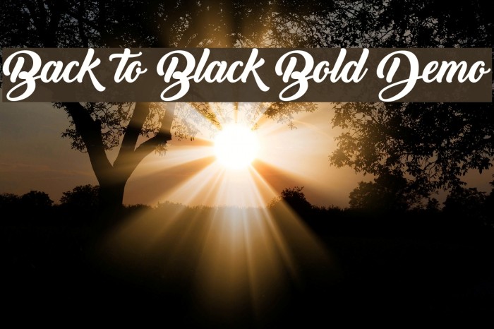 Back to Black Bold Demo Font examples