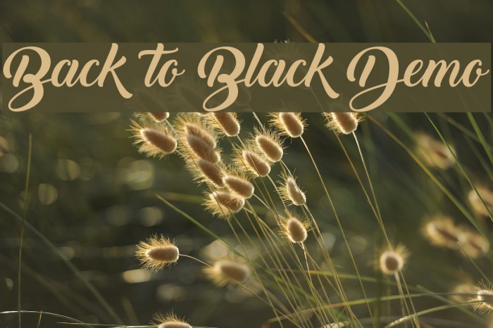 Back to Black Demo Font examples