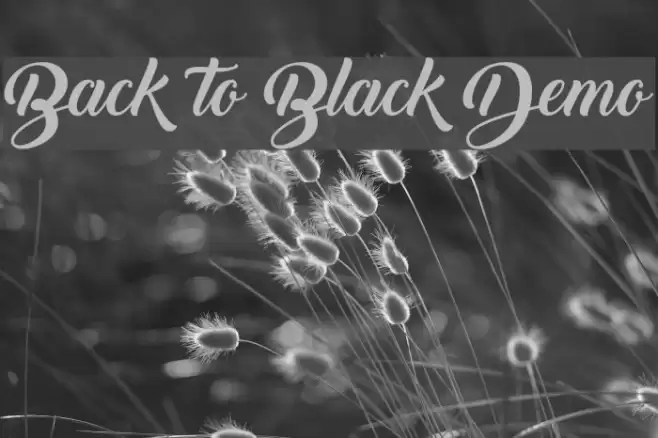 Back to Black Demo Font examples