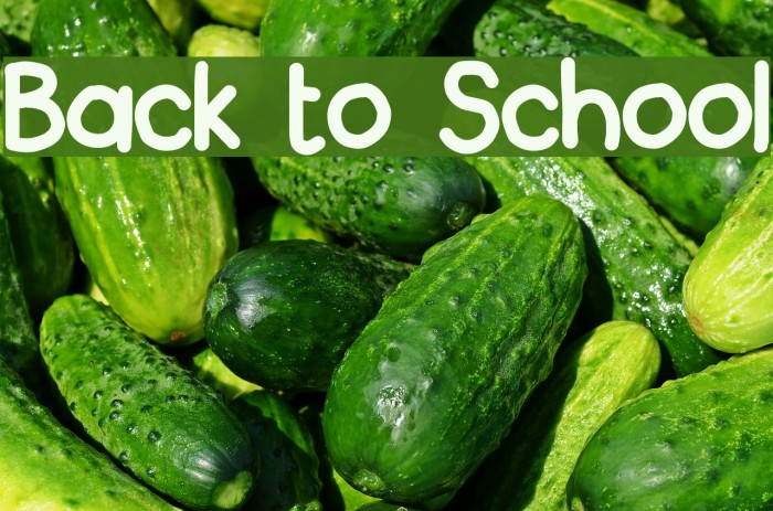 Back to School Font examples