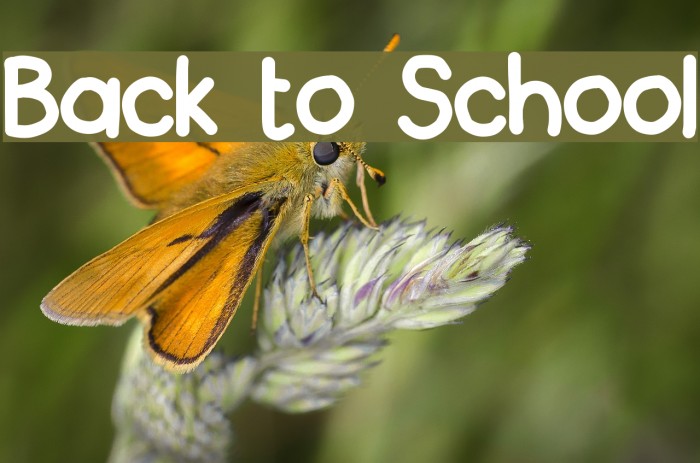 Back to School Font examples