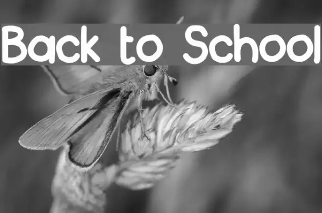 Back to School Шрифта examples