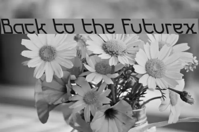 Back to the Futurex خط examples