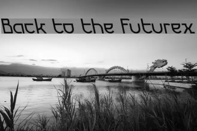Back to the Futurex خط examples