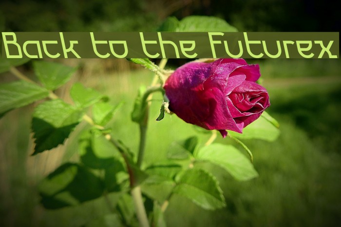 Back to the Futurex Font examples