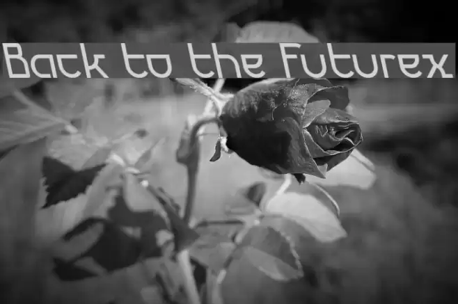 Back to the Futurex خط examples