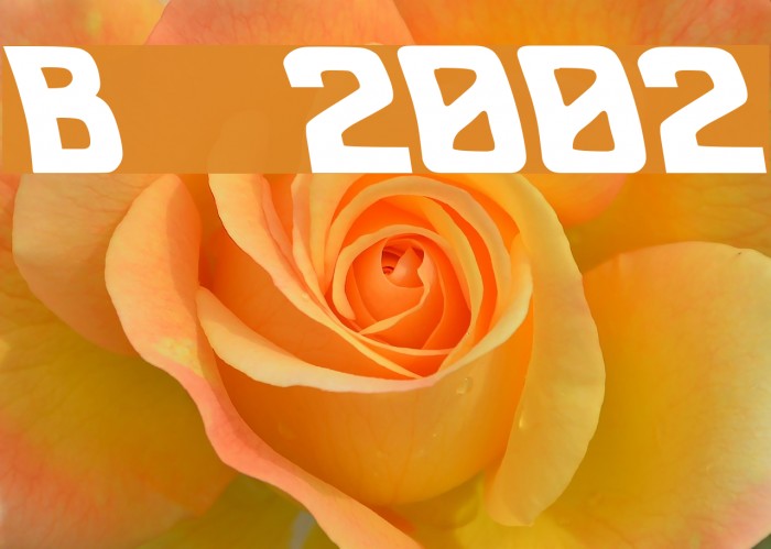 Back to the future 2002 Font examples