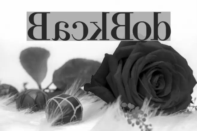 BackBod Font examples