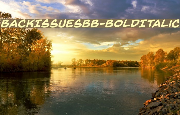 BackIssuesBB-BoldItalic Font examples